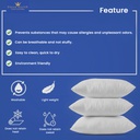 Dream Microfiber Pillow-1200g