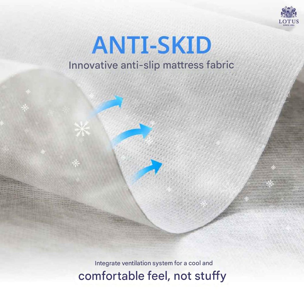 Lotus - Intel I - 5ft x 6.5ft - 8"