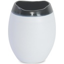 Vase (2/Cs)